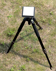 蘑菇成视频yh人入口