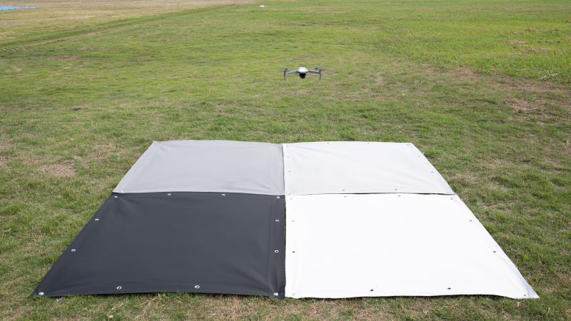 蘑菇成视频yh人入口